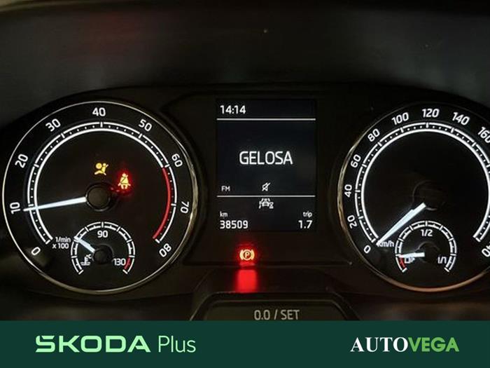 AutoVega - SKODA Fabia | ID 37333