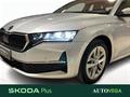 AutoVega
