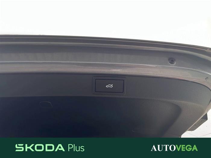 AutoVega - SKODA Octavia | ID 37344