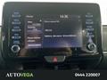 AutoVega