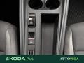 AutoVega
