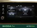 AutoVega