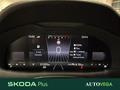 AutoVega