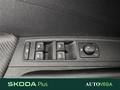 AutoVega