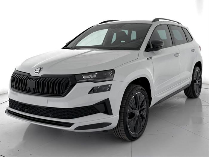 AutoVega - SKODA Karoq | ID 37988