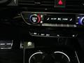 AutoVega