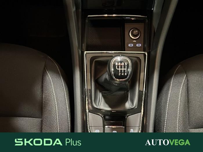 AutoVega - SKODA Karoq | ID 38053