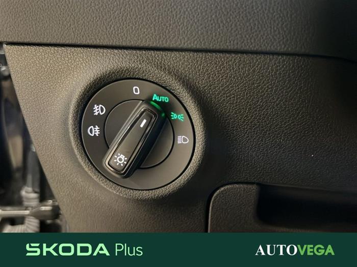 AutoVega - SKODA Karoq | ID 38053