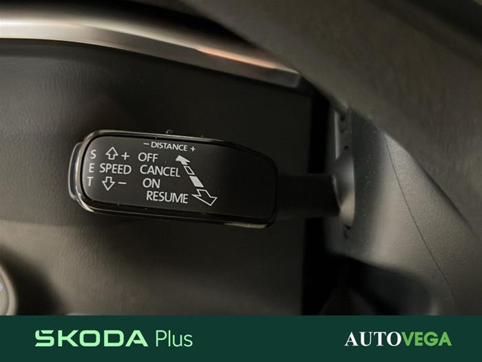 AutoVega - SKODA Karoq | ID 38053