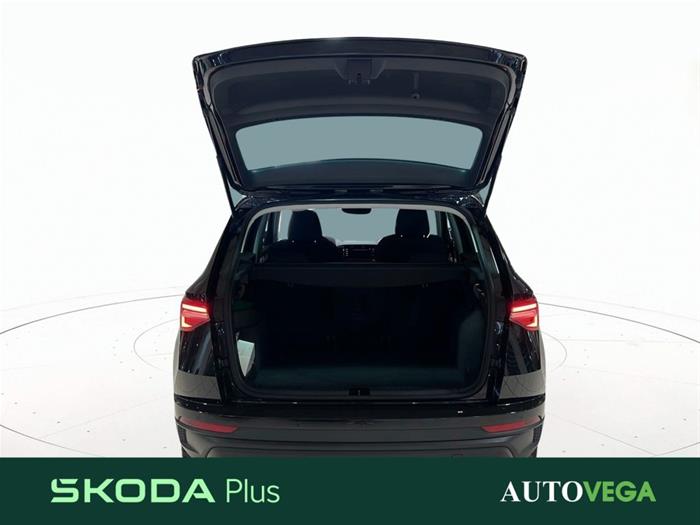 AutoVega - SKODA Karoq | ID 38053