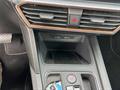 AutoVega