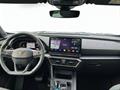 AutoVega