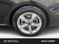 AutoVega