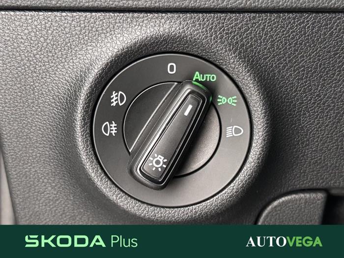 AutoVega - SKODA Karoq | ID 38223