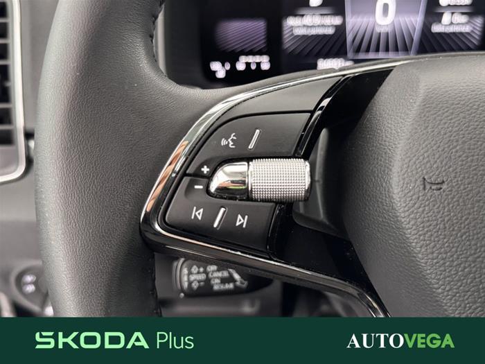 AutoVega - SKODA Karoq | ID 38223