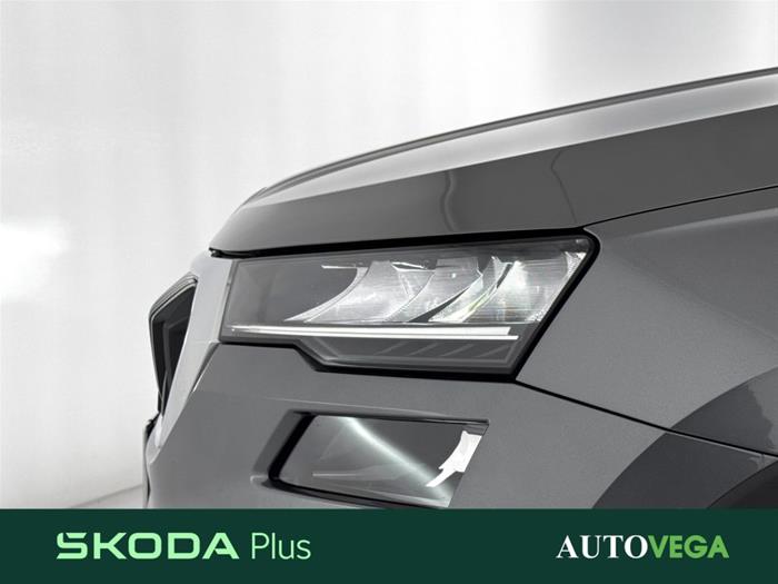 AutoVega - SKODA Karoq | ID 38223
