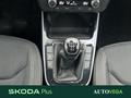 AutoVega