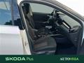 AutoVega