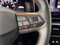 AutoVega