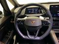AutoVega