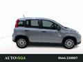 AutoVega