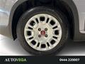 AutoVega