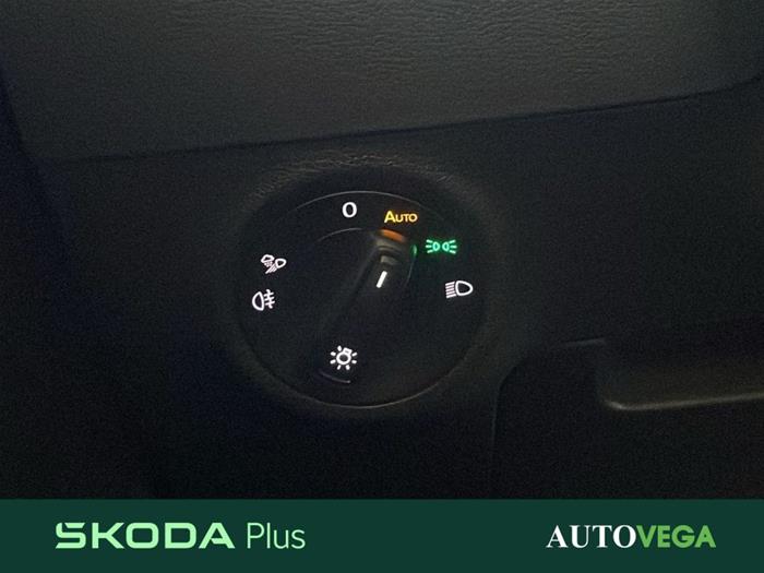 AutoVega - SKODA Karoq | ID 38917