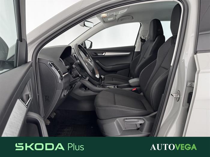 AutoVega - SKODA Karoq | ID 38975