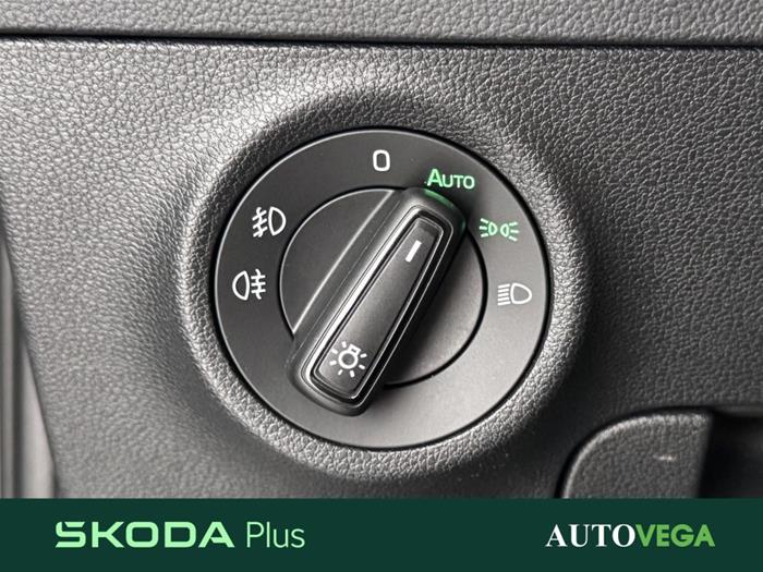 AutoVega - SKODA Karoq | ID 38975