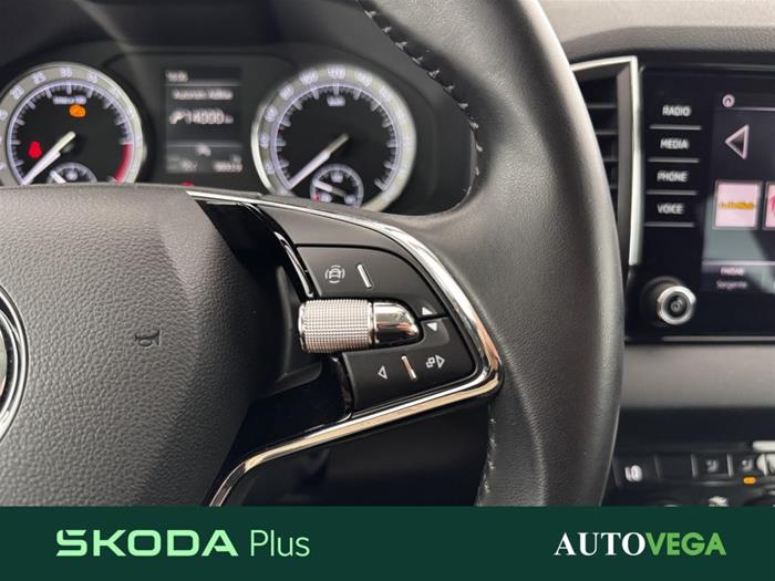 AutoVega - SKODA Karoq | ID 38975