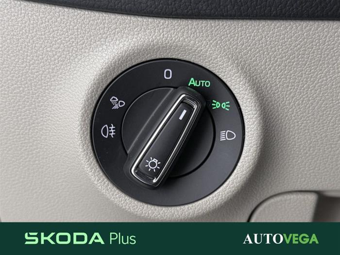 AutoVega - SKODA Kodiaq | ID 38987