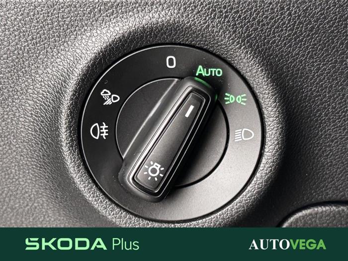 AutoVega - SKODA Karoq | ID 39308
