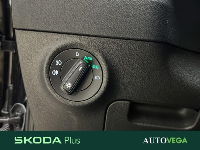 AutoVega - SKODA Karoq | ID 39332