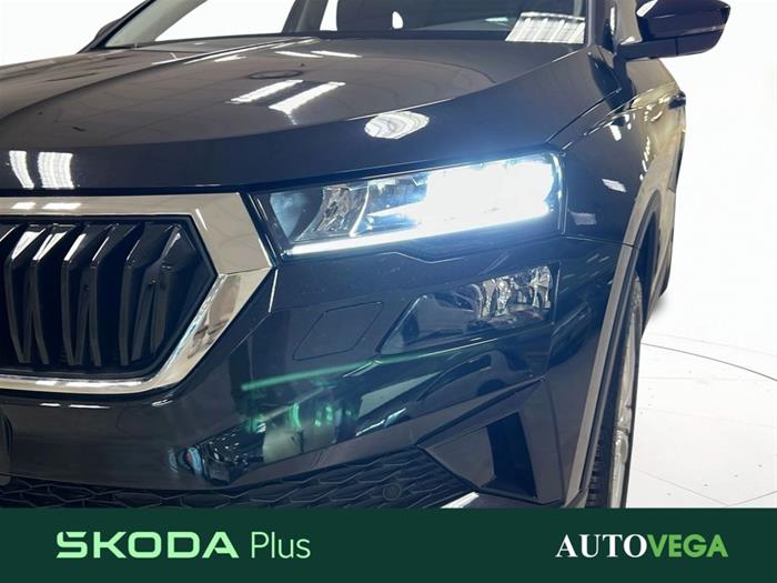 AutoVega - SKODA Karoq | ID 39332