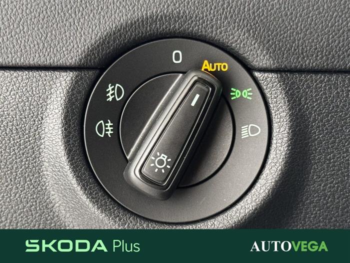 AutoVega - SKODA Octavia | ID 39339