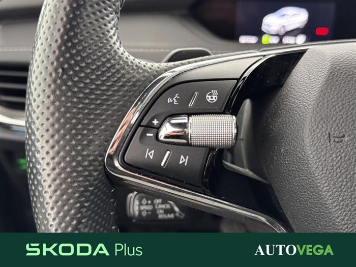 AutoVega - SKODA Enyaq iV | ID 39341