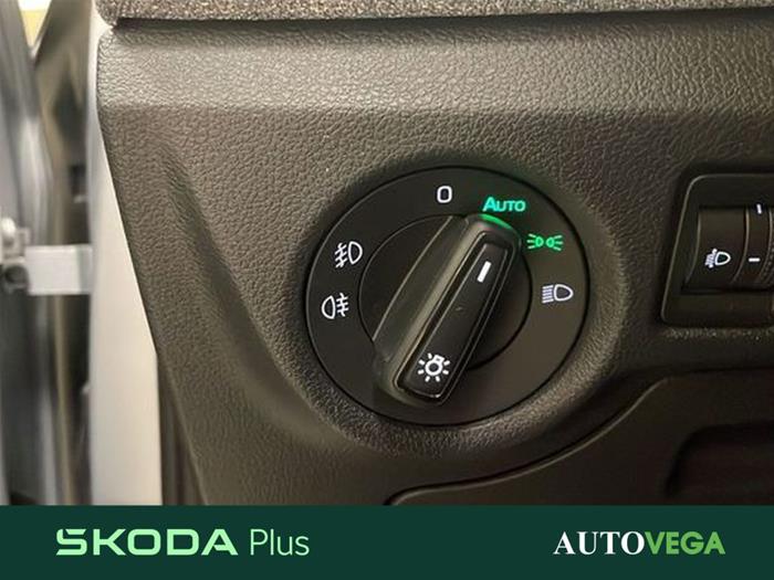 AutoVega - SKODA Kamiq | ID 40066