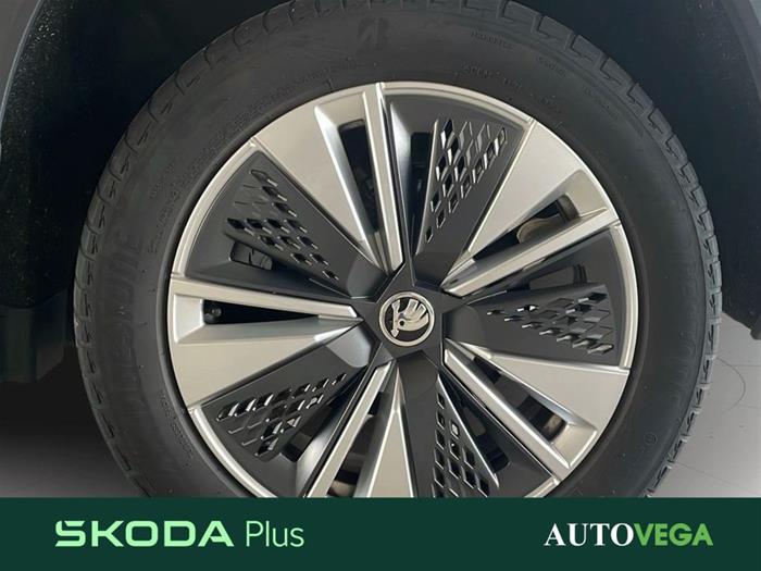 AutoVega - SKODA Karoq | ID 40122