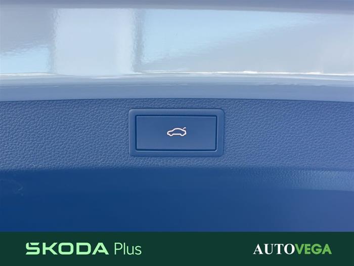 AutoVega - SKODA Karoq | ID 40168