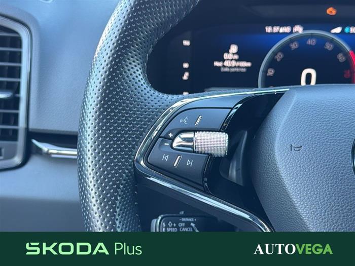 AutoVega - SKODA Karoq | ID 40168