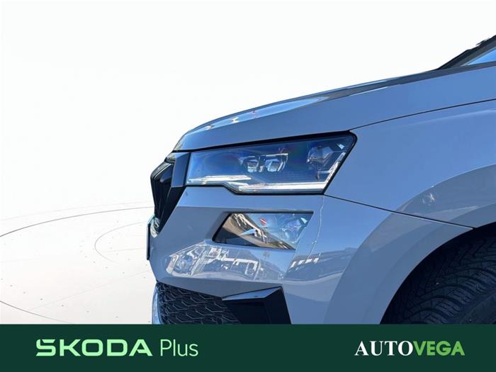 AutoVega - SKODA Karoq | ID 40168