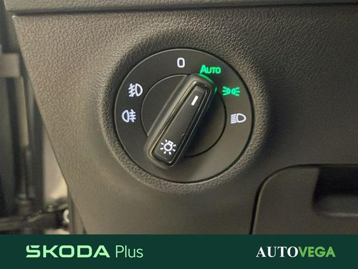 AutoVega - SKODA Karoq | ID 40804