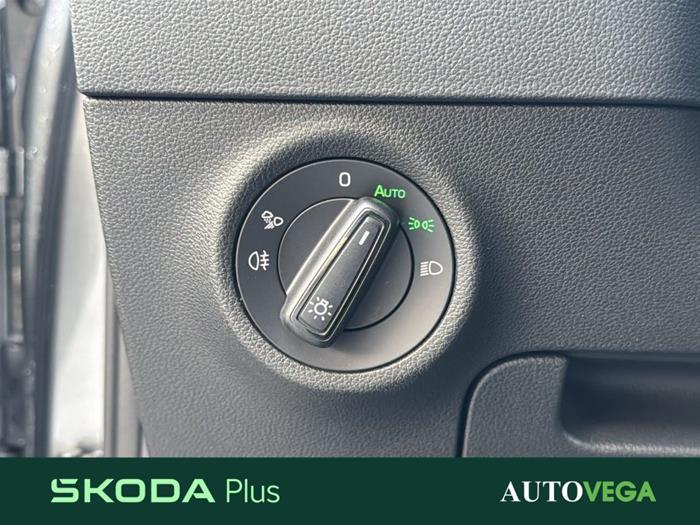 AutoVega - SKODA Karoq | ID 41088