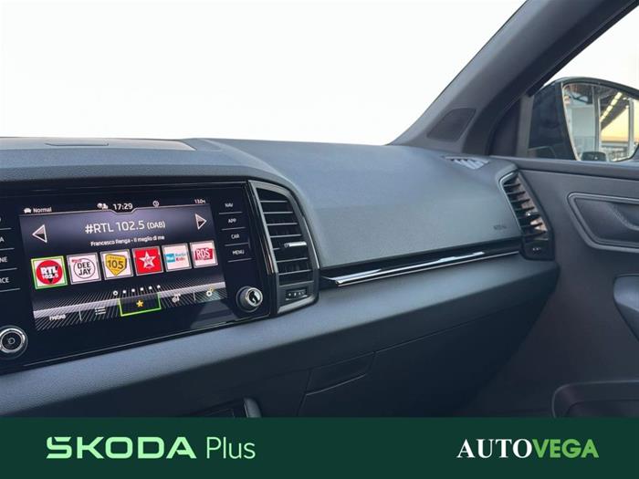 AutoVega - SKODA Karoq | ID 41088
