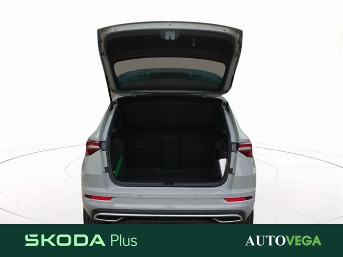 AutoVega - SKODA Karoq | ID 41089