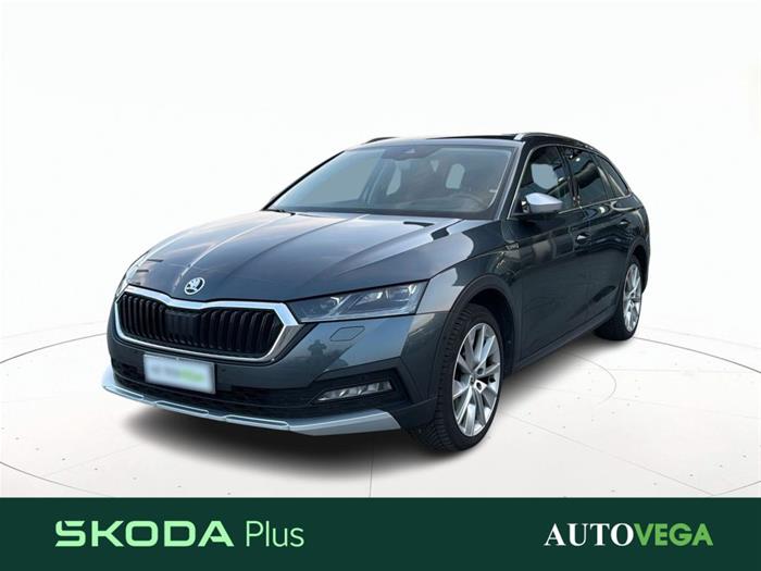 AutoVega - SKODA Octavia | ID 41146