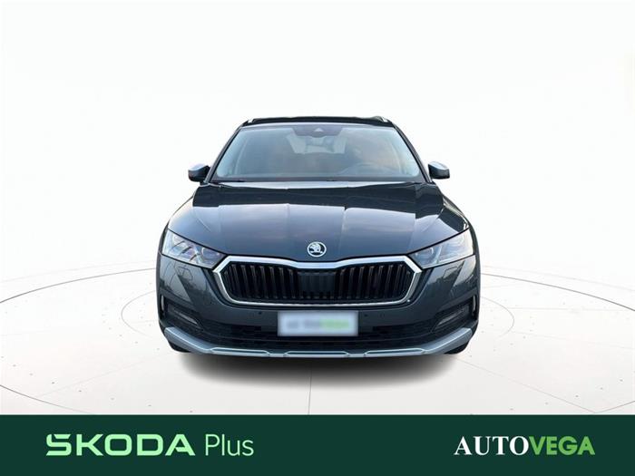 AutoVega - SKODA Octavia | ID 41146
