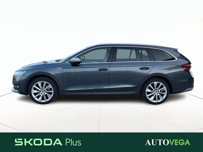 AutoVega - SKODA Octavia | ID 41146