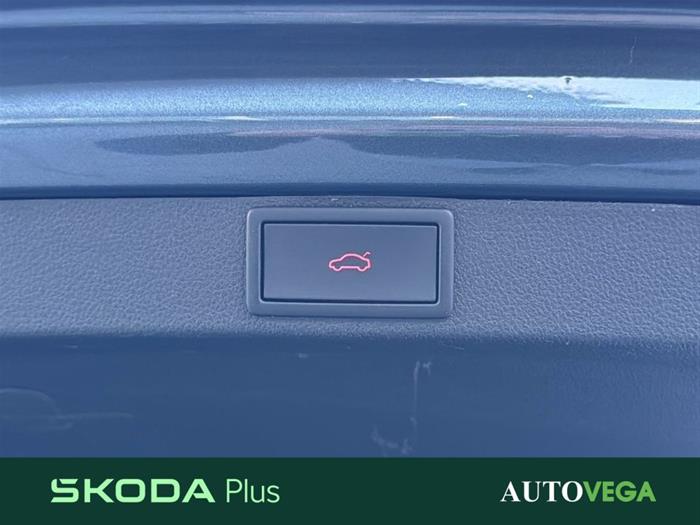 AutoVega - SKODA Octavia | ID 41146