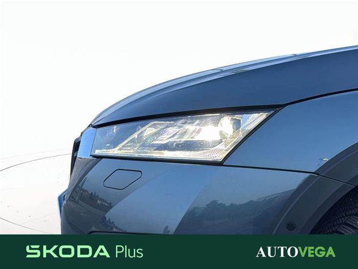 AutoVega - SKODA Octavia | ID 41146